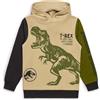 Jurassic World Felpa con cappuccio ufficiale T-Rex con dinosauro, 100% cotone, abbigliamento per bambini dai 4 ai 5 ai 9 - 10 anni