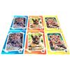 FCP WWF QUADERNONE QUADERNO WWF foca tartaruga leone tigre panda orso 6 pezzi SCUOLA rigatura A scuola primaria + omaggio penna glitterata + segnalibro