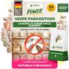 GREEN GUARDIA Trichogrammi contro le tarme alimentari, 5 carte per 1 consegna, efficace ed ecologico per combattere le tarme alimentari, alternativa alla trappola per tarme, spray per tarme, trappola