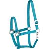 START ENJOY THE RIDE Start Economic Cavezza per cavalli - Cavezza regolabile in nylon con moschettone, robusta e confortevole, materiale morbido e resistente allo sporco (turchese, Cob (purosangue)