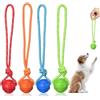 Vaileal 4 Palline per Cani Con Corda - Giocattolo per Cani di Piccola, Media e Grande Taglia (Quattro Colori)