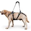 COODEO Imbracatura per sollevamento cani anziani, supporto completo con tracolla regolabile, aiuto per cani con zampe posteriori deboli, artrite, displasia dell'anca e recupero post operatorio (XL)