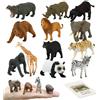 Vistnale Gioco di abbinamento di animali|24 pezzi/set Abbinamento di animali Montessori, gioco educativo con selvatici simulati e carte inglesi, abbinamenti per bambini piccoli che imparano giocattoli