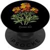 The Botany Bureau Illustrazione della pianta di Wallflower Erysimum cheiri PopSockets PopGrip Adesivo
