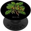 The Botany Bureau Inglese Oak pianta illustrazione Quercus robur PopSockets PopGrip Adesivo