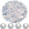 SUNNYCLUE Circa 1250 pz di Paillettes Argentate Piatte e Rotonde in PVC Glitter Artistici Sciolti Iridescenti da Cucire con Foro Grande per Decorazioni Fai da Te Matrimoni Natale Accessori.