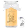 Luna Brands GmbH JuwelKerze L'ananas collana argento - candela gioielli 80 ore - grande candela profumata in barattolo con profumo fruttato - candela con gioielli - Regali per donne