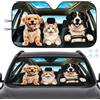 Crunier Parasole per parabrezza auto 140 x 76 cm, Parasole per parabrezza auto | protezione solare per parabrezza, protezione UV, pieghevole, per la maggior parte delle auto