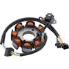 WOOSTAR 8 Bobina 4 Fili Magneto Statore Sostituzione per FU125 Raider125 FU150 Raider150 S FK110 B R150 OEM 32101-47E00 32101-25G00