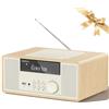 LONPOO Impianto Stereo Casa - 30W Micro HiFi Compatto con lettore CD, Bluetooth, radio FM, USB, AUX-in, display LED e pulsante grande, telecomando (LP-818Y)