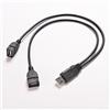 CashMuch Cavo adattatore USB 2.0 maschio a doppia femmina, colore nero