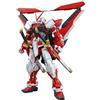 BANDAI Gundam Master Grade MG Model Kit Astary Red Frame Revise 1/100 Bandai
