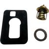 Byntarus Kit Termostato 3853799 160 Degree Compatibile con Penta 3.0 L | Adatto per motori Penta 3,0 L; Sostituisce i numeri di parte 982554 e 18-3670