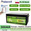 Aninerel Batteria LiFePO4 Aninerel 300AH 12V 100AH, capacità 3840Wh, batteria solare portatile per esterni, 6000 cicli, BMS Bluetooth integrato
