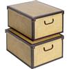 Lavatelli Set 2 pezzi Scatole armadio in cartone, organizer per vestiti e biancheria, per cambio stagione, Tapirus 50x40xh25 cm
