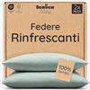 Bambaw Federe cuscini 50x70 bambu, Confezione da 2, Federa anti acne e antiacaro, Federa cuscino antisudore e traspirante, Federe cuscini morbide ed eleganti, Certificate Oeko-Tex (Verde Acqua)