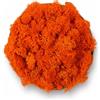 Verde stabilizzato Lichene Stabilizzato Vero 100% Naturale, 1kg - Muschio Scandinavo Conservato per Decorazioni - Ideale per Parete Verde, Terrario, Presepi, Modellismo e Composizioni Fai da Te (Arancione, 1kg)