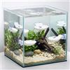 Thinp Betta - Amaca per pesci Betta, accessorio per pesci con ventosa, accessorio per acquario
