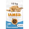 IAMS Cibo secco per gatti da 1-6 anni con pesce, 10 kg | Crocchette per gatti | Alimento secco completo e bilanciato | Con Omega-3 e Omega-6 per una pelle sana e un pelo lucido