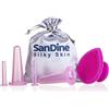 SanDine Silky Skin Set Coppettazione Viso Silicone - Coppettazione Massaggio - Riduzione Doppio Mento - Coppetta Cellulite - Coppette Anticellulite - Vacuum Viso e Corpo - Cupping Kit da Sandine (Rosa 5 pezzi)