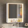 FORABAMB Specchio Bagno Contenitore con Luci 60x19x70 cm, Specchiera Bagno | Illuminazione a LED a 3 colori, Presa multipla( 2 AC + 2 USB), Ripiano regolabile, Pulsanti touch, 3 Ripiano portaoggetti