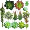 Aisamco 14 Piante Grasse Artificiali Mix | Perle catena, Lacrime amore, Echeveria, Cascina costiera, Fai da te, Mini