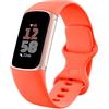 Google Smartwach Google Fitbit Charge 6 Corallo Oro Champagne [840353901100]