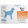 DYNAMOPET SRL Digea F Medium 20 Bustine Da 4 G