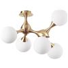 Ideal Lux NODI PL5 OTTONE SATINATO, Plafoniera, Ideal Lux