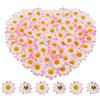Bornfeel Fiori Margherite 100 Pezzi Fiori Finti Bomboniere Fiore Artificiale Corolla in Seta per Pasqua Tavola Cofano Matrimonio Festa Cerimonia Decorazione 38 x 38 x 20 mm Bianco & Rosa Chiaro