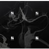 K-POP BTS 2° Album WINGS 4Ver SET CD + 96p Photobook + Photocard Sigillata + ...