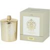 Tiziana Terenzi Andromeda Candela Profumata in Vetro Dorato 170 g + Coperchio UNISEX