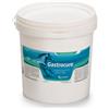 CANDIOLI IST.PROFIL.E FARM.SpA gastrocure secchiello 2,6 kg