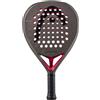 Head Coello Motion 2026