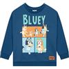 BlueY Felpa Bambino | Maglione Bambino | 18 Mesi E 8 Anni