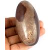 2.89 " Accattivante Linga Shiva Naturale Curative Pietra 130.49 Gram Santo Scopo