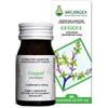arcangea Guggul 60 Capsule Acn