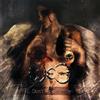 W.E.B. Don't Wake Futility (CD) Album