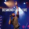 VIDB1 Desmond Child Live