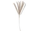 VACCHETTI RAMO PVC CHAMPAGNE CM97 760233