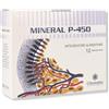 CITOZEATEC Mineral P 450 12 Stick Da 10ml