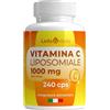 Linfa Vitalis Vitamina C Liposomiale 1000mg Alto Dosaggio 240Cps Vegane (4 Mesi) - Contribuisce alla Riduzione della Stanchezza e Protezione dallo Stress Ossidativo