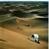 Baxter Dury Prince of Tears (Vinyl LP) 12" Album