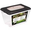 Reptiles-Planet Nuovo modello 2019 Reptil Tank XL, 38,5 cm x 21,5 cm x 24 cm