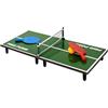 Mister Gadget Tavolo Ping-Pong Piccolo Modello 60x30 cm in Legno Verde