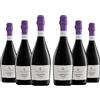Cantina Castelli Modenesi Lambrusco Scuro Amabile Emilia IGT, Vino Rosso dal Gusto Pieno ed Equilibrato, Profumo Variegato e Rifinito di Prugna e Frutta Secca, 8% Vol., 6 Bottiglie da 750 ml