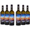 Brumale Vino Bianco Trebbiano Chardonnay Rubicone IGT, Gusto Pieno E Bilanciato E Profumo Intenso, 12% Vol, Confezione Con 6 Bottiglie Da 750 Ml