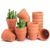 FAMILY 20 vasi per piante da vivaio di piccoli mini vasi da fiori in argilla da 7,6 cm, vasi per fiori di cactus, vasi per piante grasse con fori di drenaggio, (terracotta)