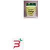 PHYTOITALIA SRL GINSENG ROSSO 60 CAPSULE