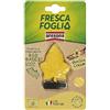 AREXONS Fresca Foglia Bocchetta, Profumatore Auto Gusto Vaniglia Cream
